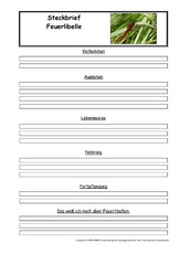 Feuerlibelle-Steckbriefvorlage.pdf